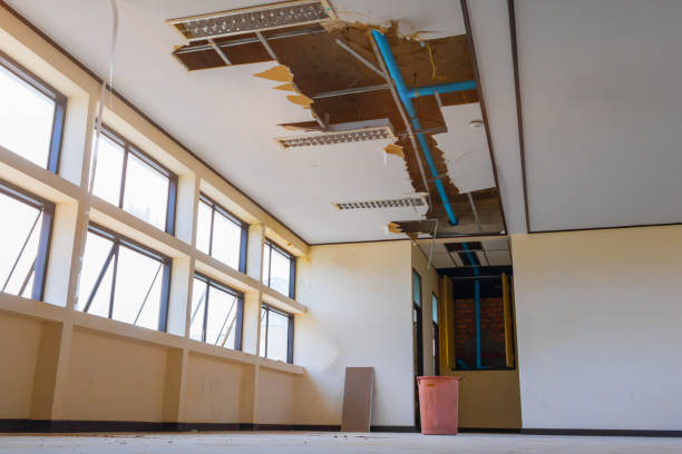 Best Sewage cleanup and water damage restoration  in Village Of Four Seasons, MO