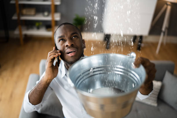 Best Professional water damage repair  in Village Of Four Seasons, MO