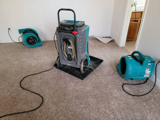 Best Carpet water damage restoration  in Village Of Four Seasons, MO
