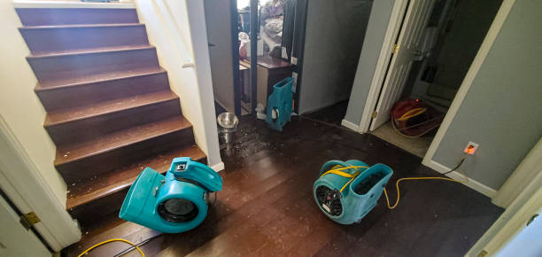 Best 24/7 water damage repair  in Village Of Four Seasons, MO