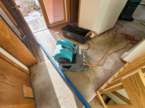 Best Water damage restoration near me  in Village Of Four Seasons, MO