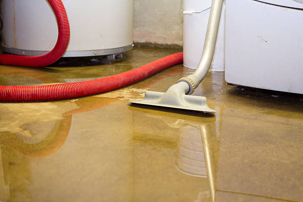 Water damage restoration experts in Village Of Four Seasons, MO