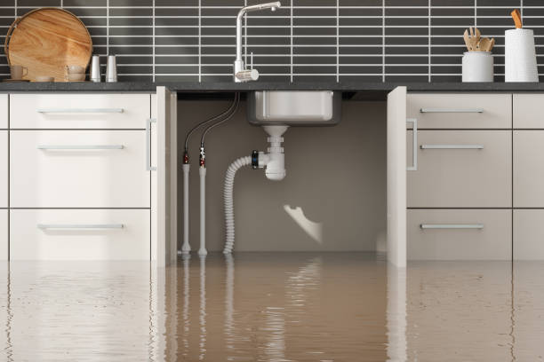 Best Emergency water damage restoration  in Village Of Four Seasons, MO