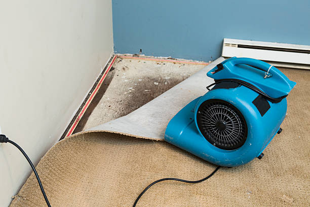 Sewage cleanup and water damage restoration in Village Of Four Seasons, MO